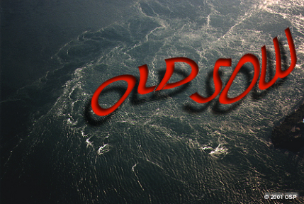 Old Sow Whirlpool forming in Western Passage