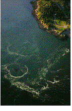 Wirling vortex graphic